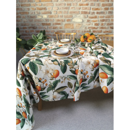 TOVAGLIA ANTIMACCHIA GIUGGIOLA 155X220